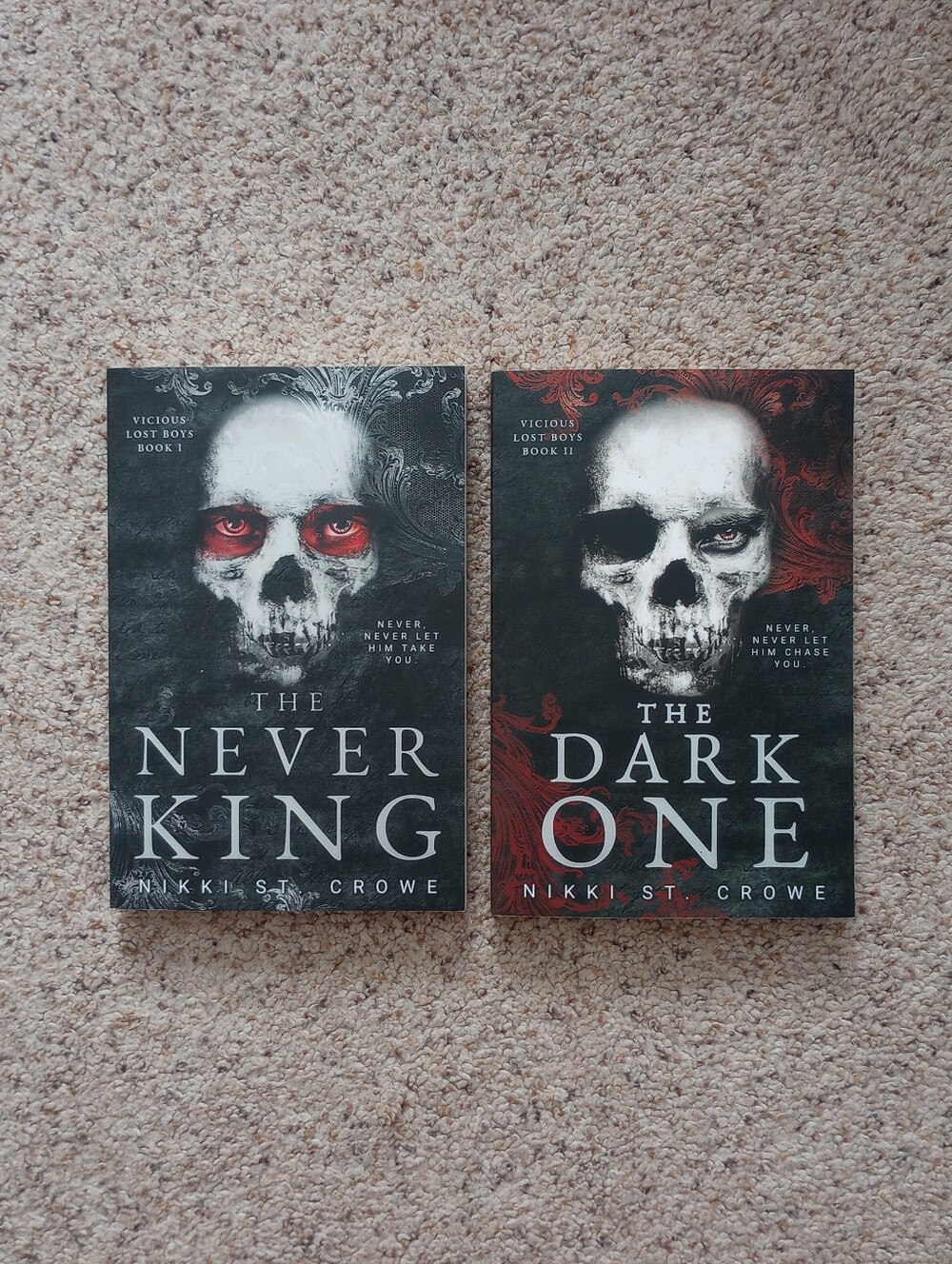Vicious Lost Boys Book 1 & Book 2 The Never King & The Dark One Dark Romance